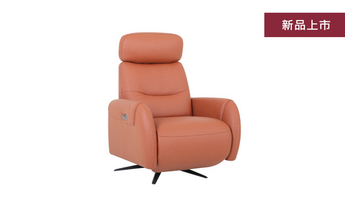 H45921 百分之百義大利全牛皮電動功能單人椅產品圖